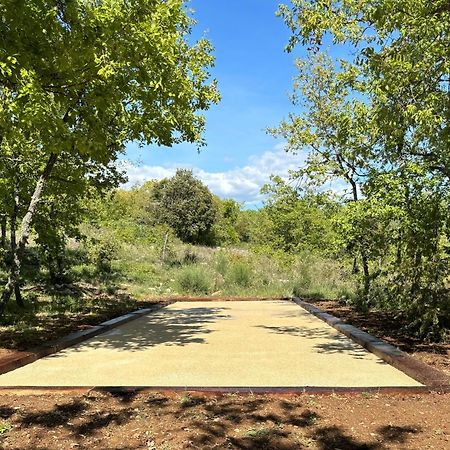 Bastide De Viens - Vue Luberon, Piscine Chauffee, Boulodrome Villa Bagian luar foto